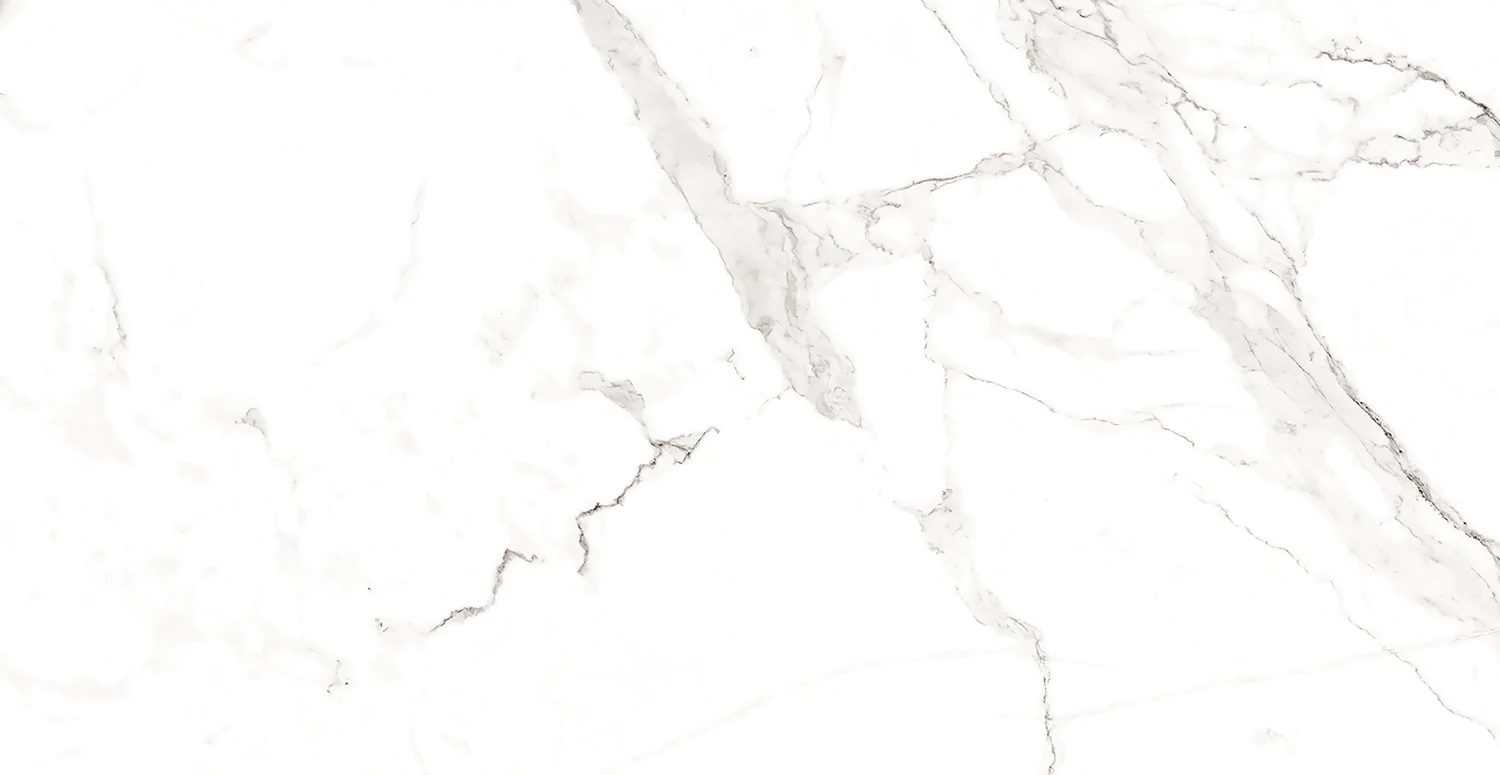 Плитка керамогранитная AZARIO STATUARIO CLASSIC 60х120 Matt (F2020821120M) — фото №1