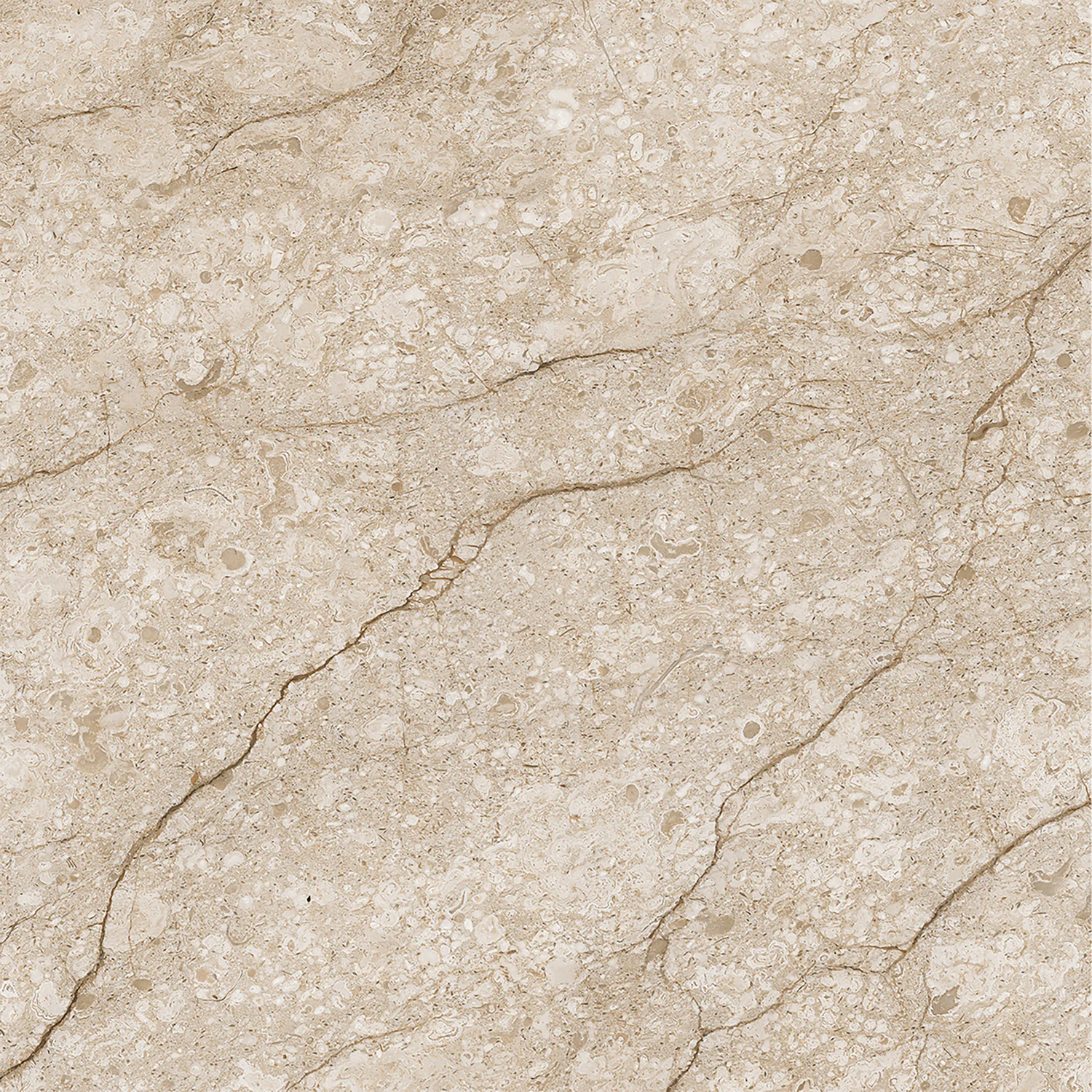 Плитка керамогранитная AZARIO SAHARA OAT 60х60 Matt (F111082160M) — фото №1