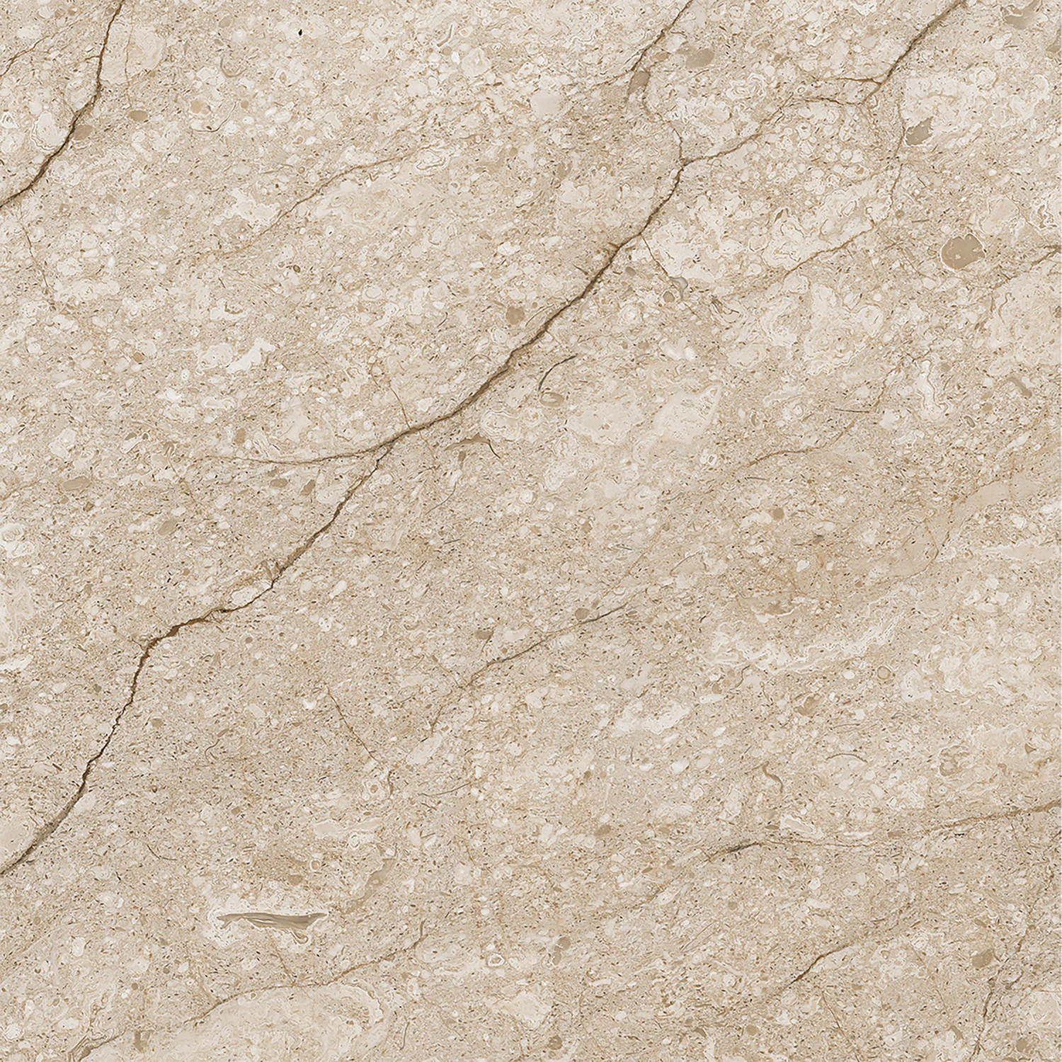 Плитка керамогранитная AZARIO SAHARA OAT 60х60 Matt (F111082160M) — фото №2