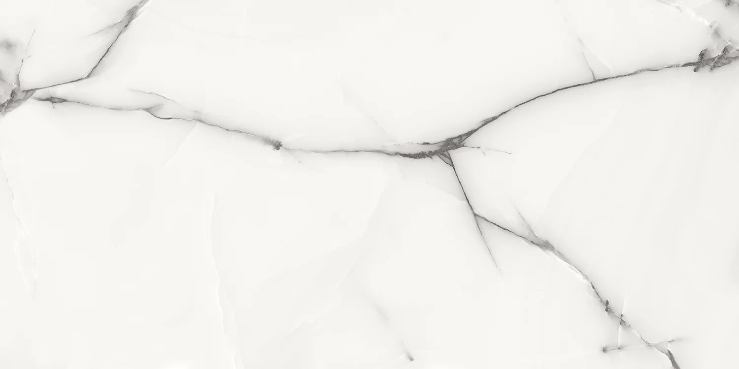 Плитка керамогранитная AZARIO ONYX GREY 60х120 Glossy (P3211112138G) — фото №1