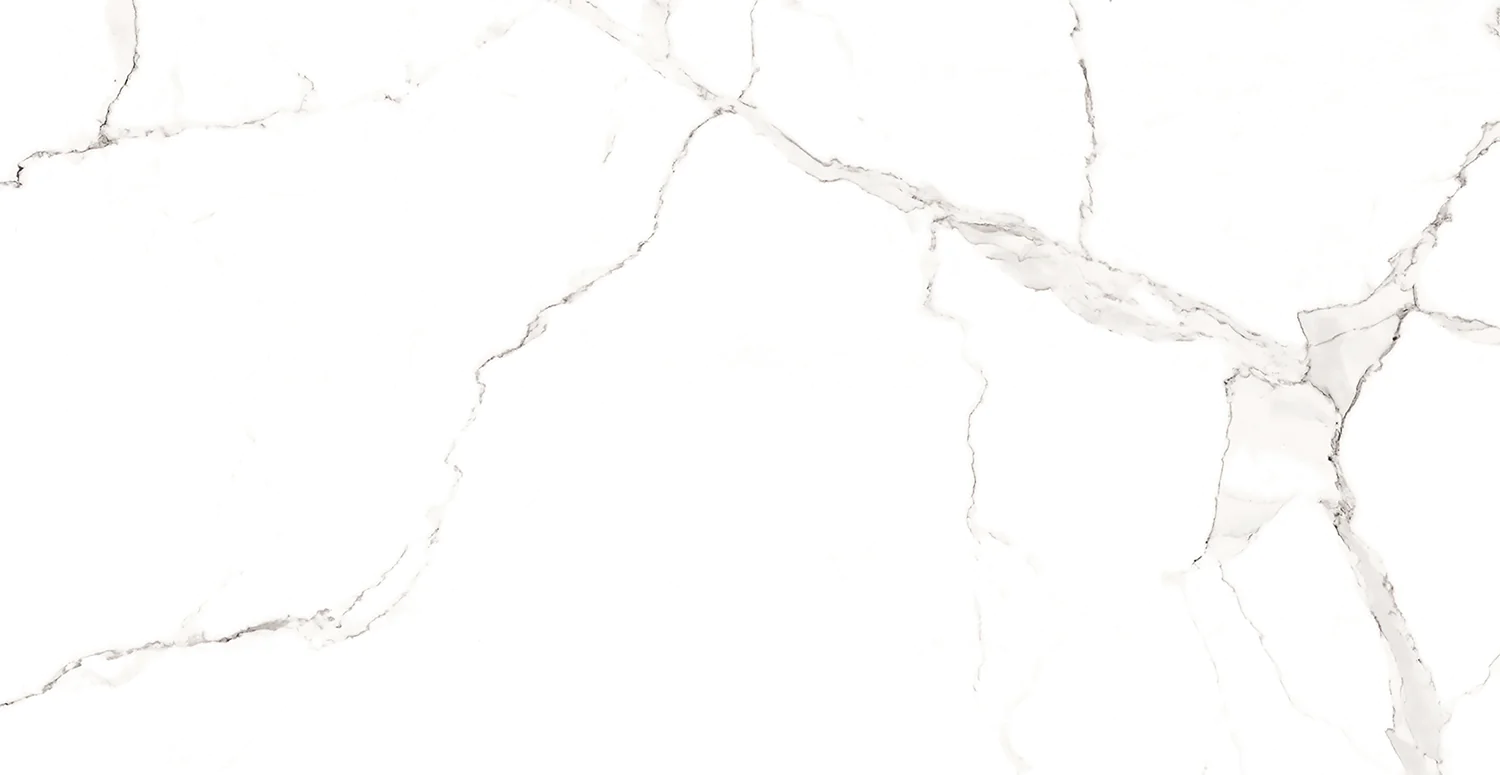 Плитка керамогранитная AZARIO STATUARIO CLASSIC 60х120 Matt (F2020821120M) — фото №4