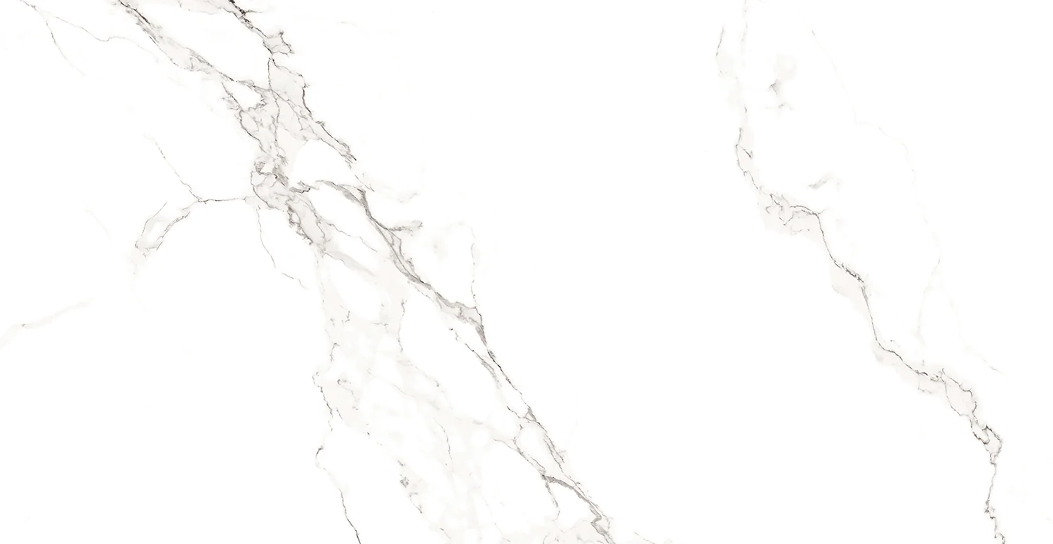 Плитка керамогранитная AZARIO STATUARIO CLASSIC 60х120 Matt (F2020821120M) — фото №5