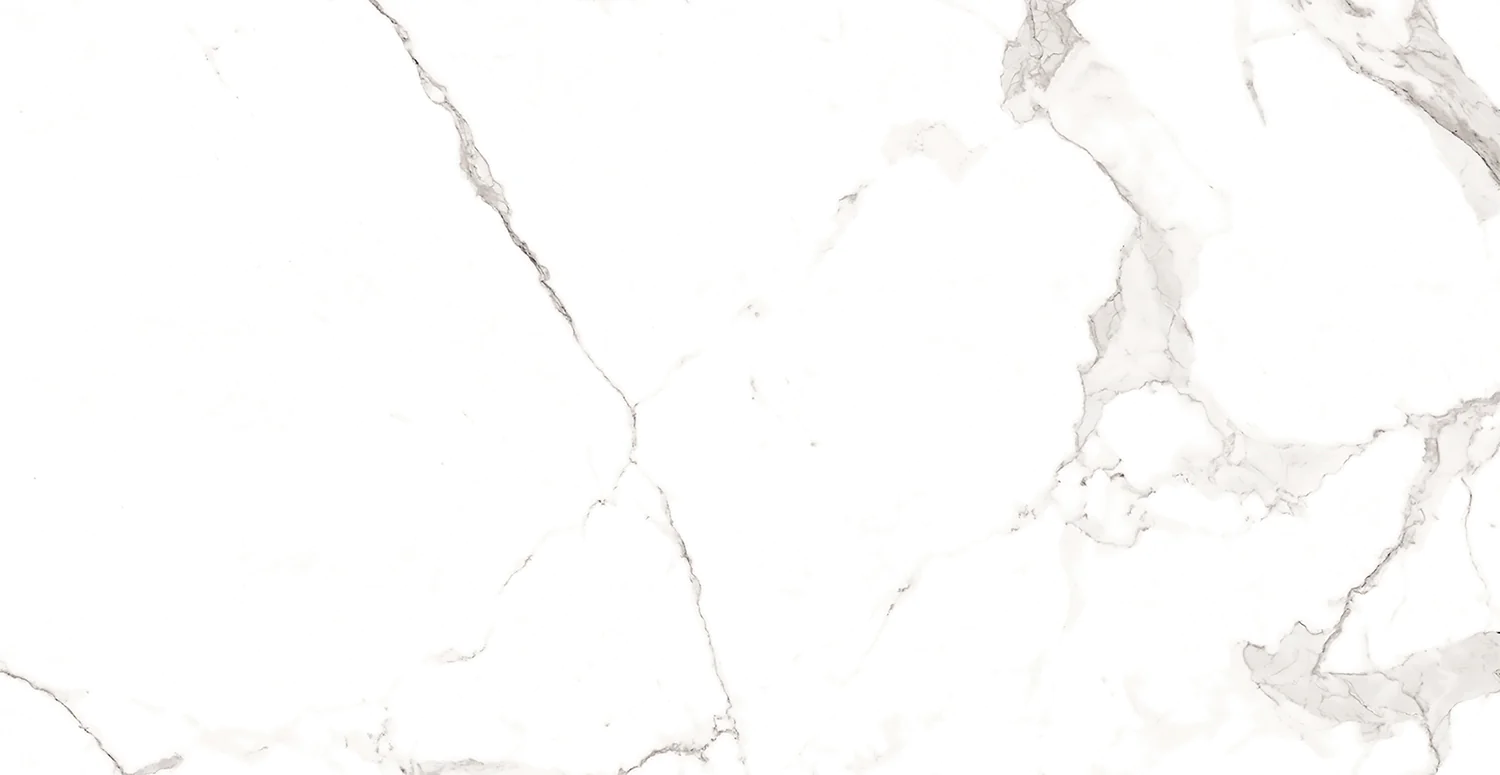 Плитка керамогранитная AZARIO STATUARIO CLASSIC 60х120 Matt (F2020821120M) — фото №6