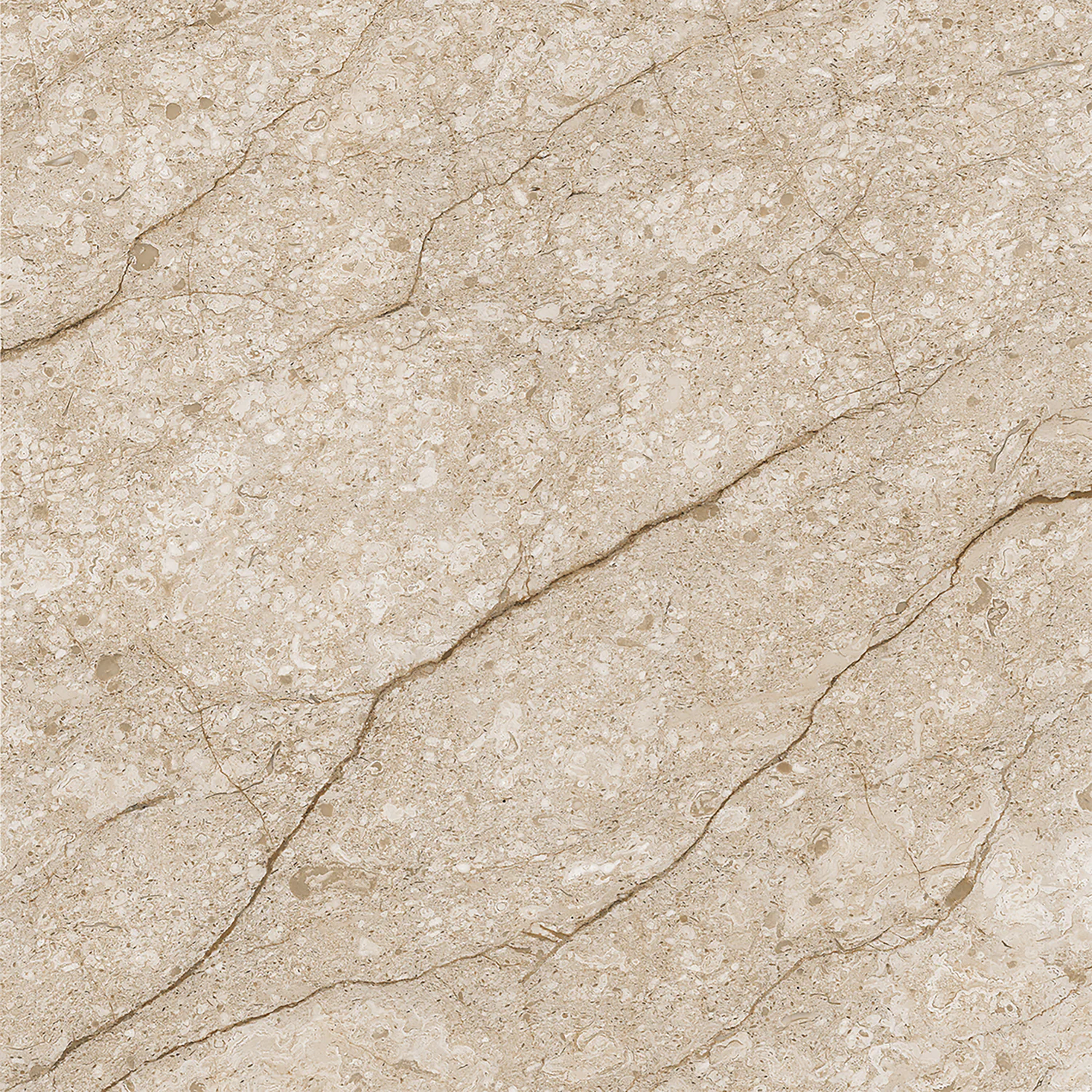 Плитка керамогранитная AZARIO SAHARA OAT 60х60 Matt (F111082160M) — фото №4