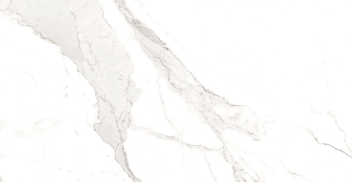 Плитка керамогранитная AZARIO STATUARIO CLASSIC 60х120 Matt (F2020821120M) — фото №2