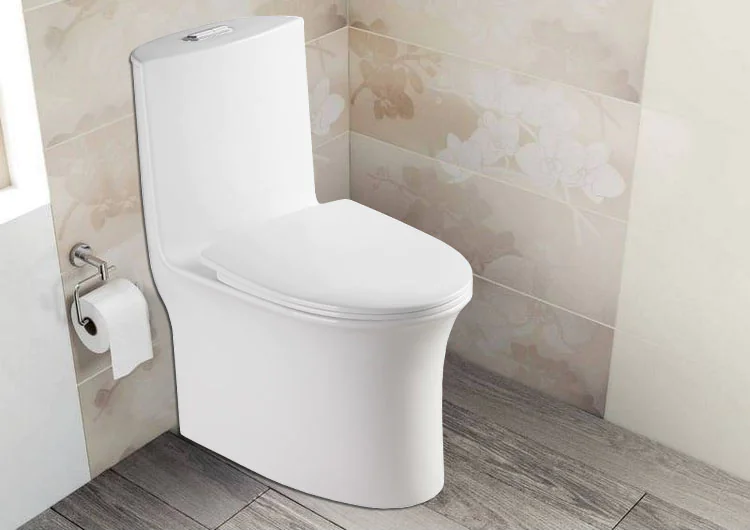 Унитаз моноблок Azario Luna 770x390x710 напольный, горизонтальный слив, сиденье дюропласт микролифт (AZ-1037) — фото №17