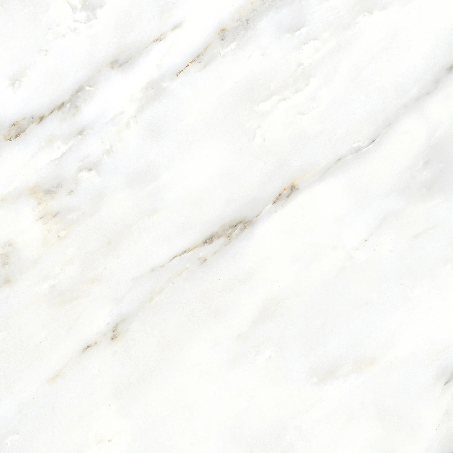 Плитка керамогранитная AZARIO PAVONAZA WHITE 60х60 Glossy (P103082160G) — фото №1