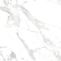 Плитка керамогранитная AZARIO ESTETICA 60х60 Glossy (ESTETICA)