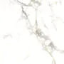 Плитка керамогранитная AZARIO BERNINI GOLD 60х60 Glossy (P102082164) — фото №2