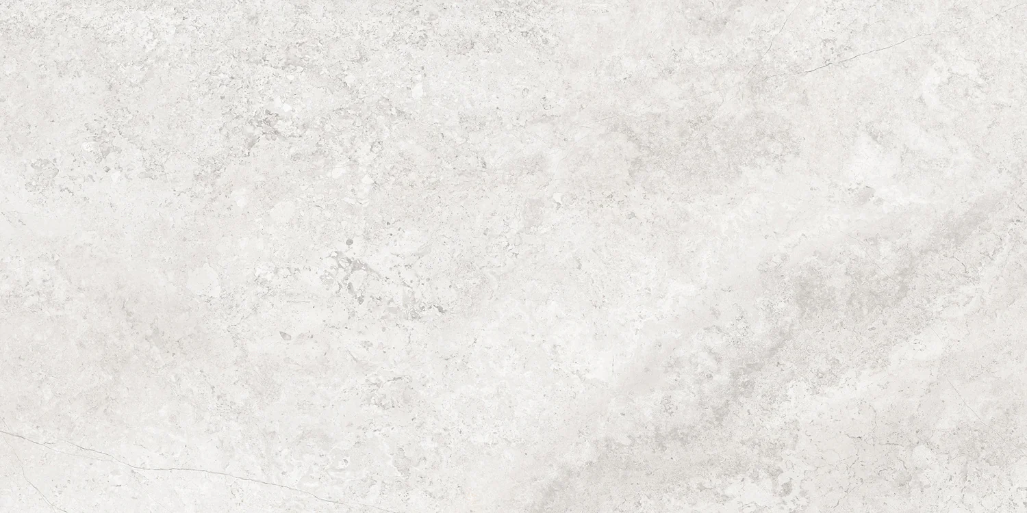 Плитка керамогранитная AZARIO CALLIZA SILVER 60х120 Matt (F4110821130M) — фото №4