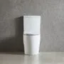 Унитаз напольный Azario LUMA TORNADO FLUSHING безободковый в комплекте с бачком и сиденьем микролифт, дюропласт. 595*360*820 мм (AZ-1253ST) — фото №6
