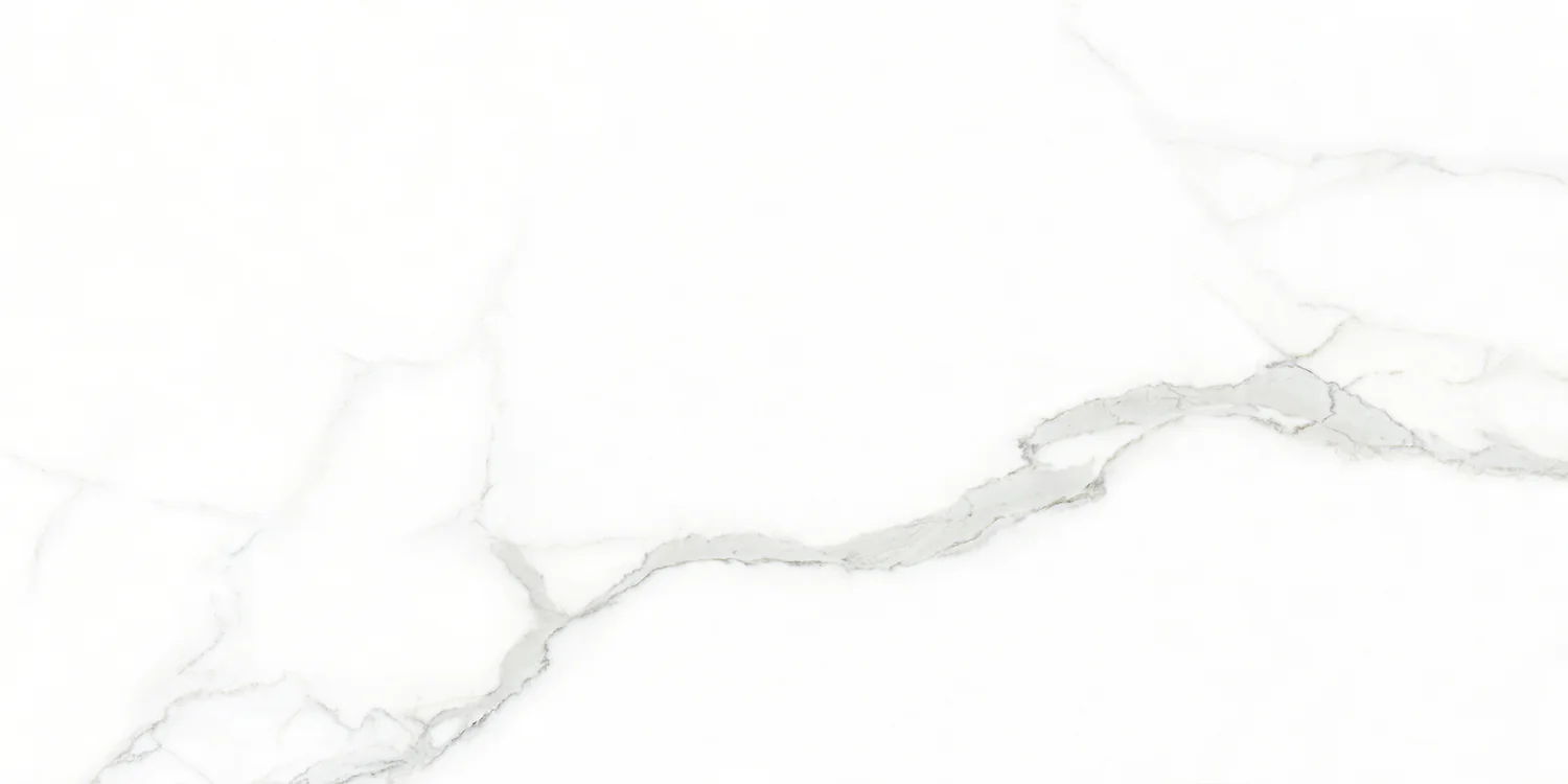 Плитка керамогранитная AZARIO WHITE CARARRA 60х120 Glossy (GJT612670) — фото №2