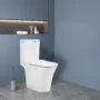 Унитаз-компакт Azario VISE 640х365х820 напольный, безободковый, в комплекте с быстросъемным сиденьем микролифт (AZ-1343BT) — фото №12