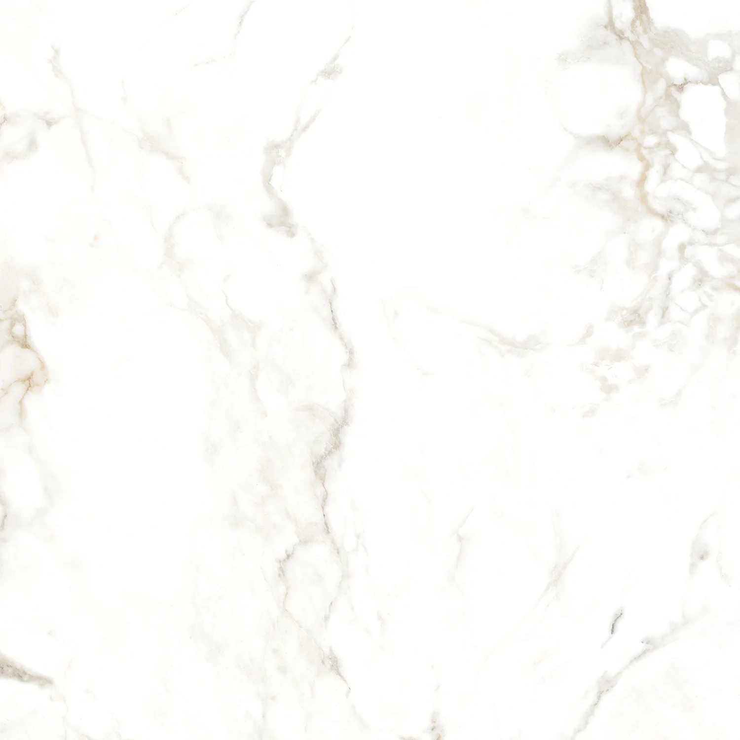 Плитка керамогранитная AZARIO BERNINI GOLD 60х60 Glossy (P102082164) — фото №3