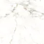 Плитка керамогранитная AZARIO BERNINI GOLD 60х60 Glossy (P102082164) — фото №5