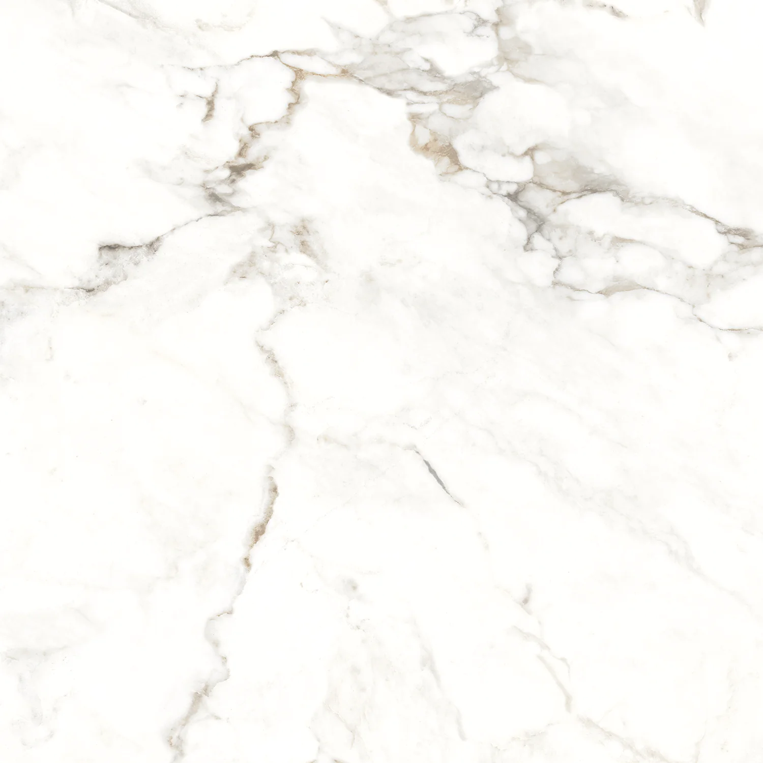 Плитка керамогранитная AZARIO BERNINI GOLD 60х60 Glossy (P102082164) — фото №5