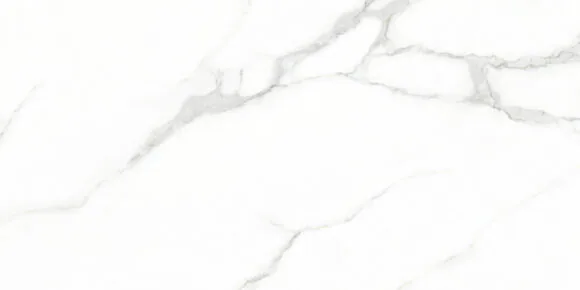 Плитка керамогранитная AZARIO WHITE CARARRA 60х120 Glossy (GJT612670)