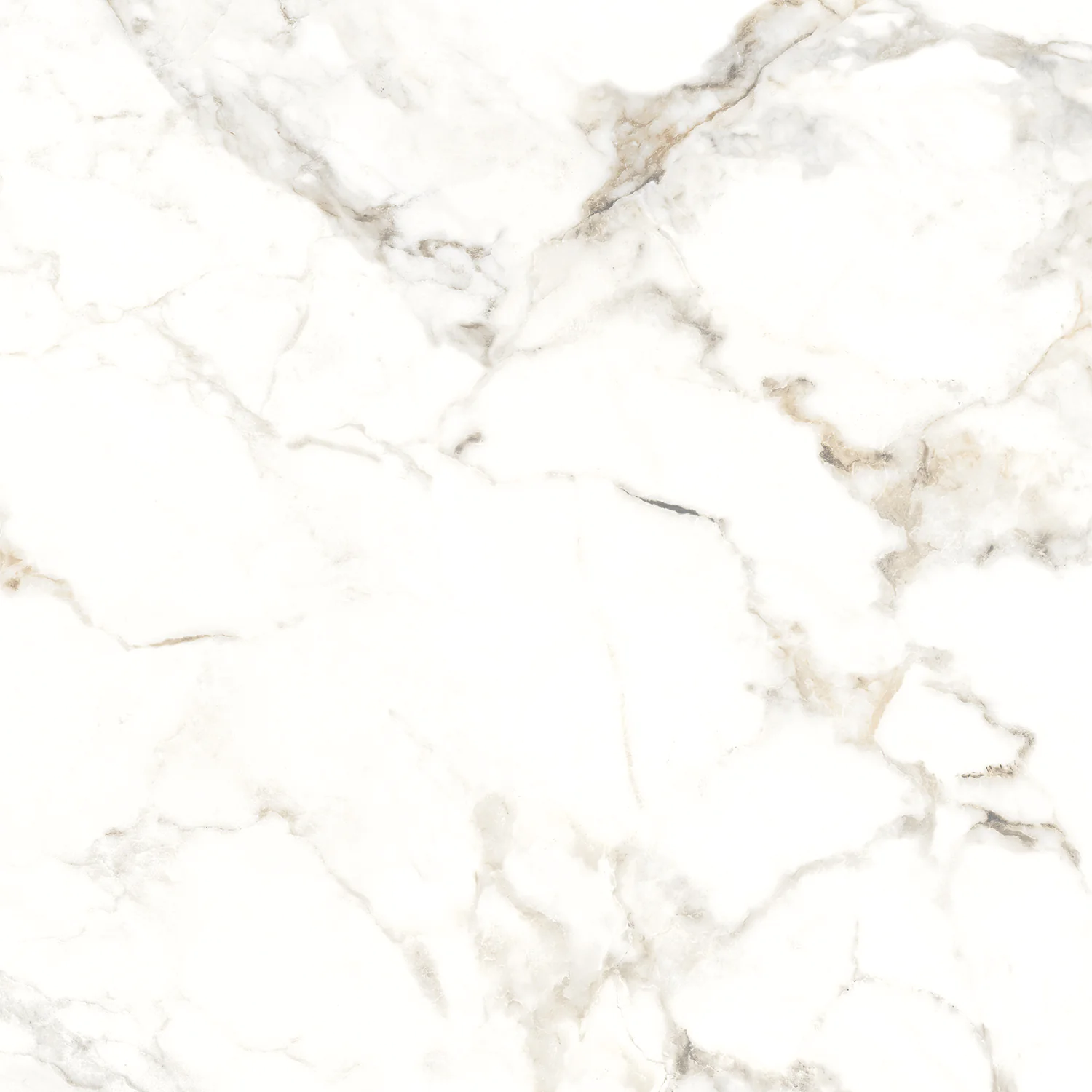 Плитка керамогранитная AZARIO BERNINI GOLD 60х60 Glossy (P102082164) — фото №4
