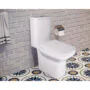 Унитаз-компакт Azario Wandy 350х614х795 напольный, безободковый, с быстросъемным сиденьем микролифт (AZ-56D) — фото №16