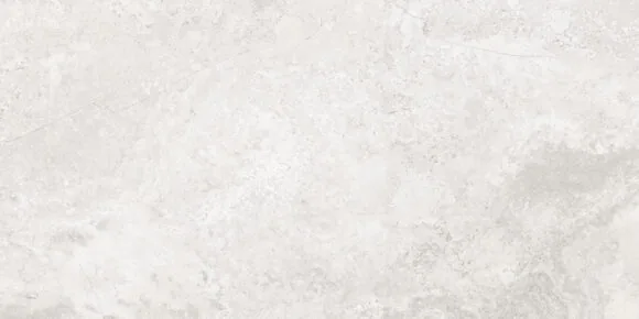 Плитка керамогранитная AZARIO CALLIZA SILVER 60х120 Matt (F4110821130M)