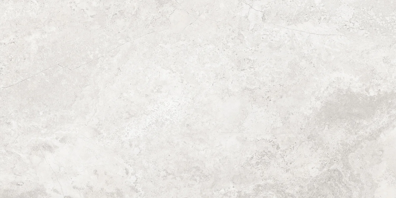 Плитка керамогранитная AZARIO CALLIZA SILVER 60х120 Matt (F4110821130M) — фото №1