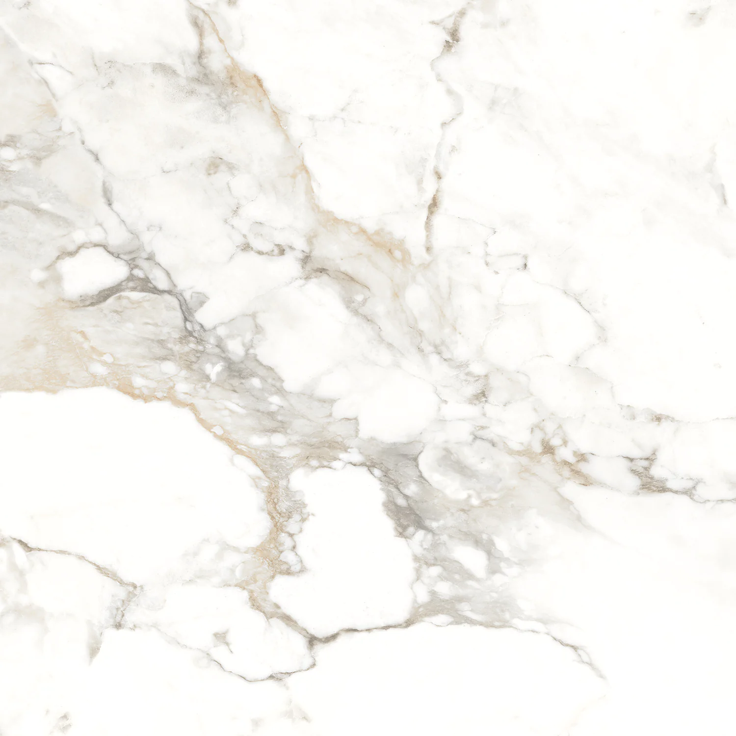 Плитка керамогранитная AZARIO BERNINI GOLD 60х60 Glossy (P102082164) — фото №8