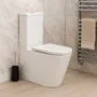 Унитаз-компакт Azario Margo 390х670х880 безободковый, слив Торнадо, с быстросъемным сиденьем микролифт (AZ-2125-UQ1) — фото №14