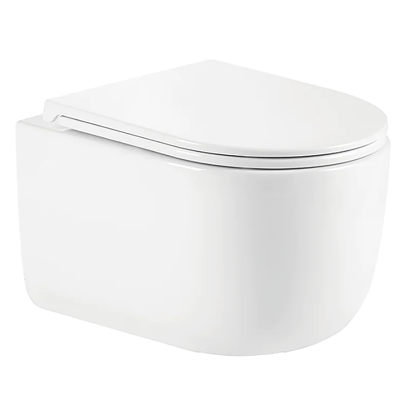 Унитаз подвесной Azario SERENATA 360х485х35 безободковый, система смыва «Скрытое Торнадо», с быстросъемным сиденьем «Микролифт» (AZ-5101T-WHT) — фото №1